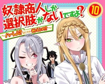 Dorei Shounin Shika Sentakushi ga Nai Desu yo?: Harem? Nani Sore Oishii no?