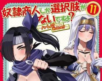 Dorei Shounin Shika Sentakushi ga Nai Desu yo Harem Nani Sore Oishii no