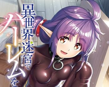 Isekai Meikyuu de Harem wo