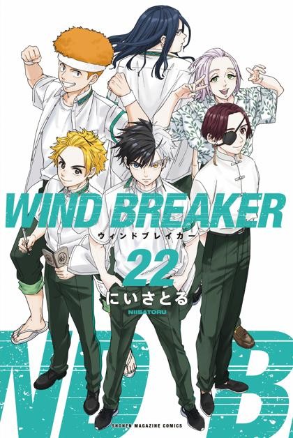 Wind Breaker (NII Satoru)