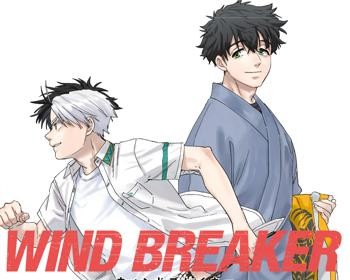 Wind Breaker (NII Satoru)